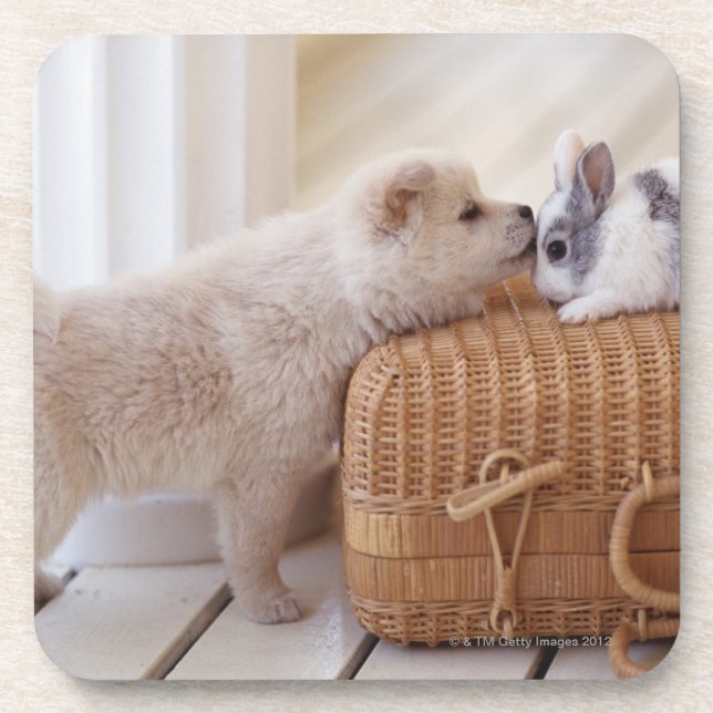 Welpe und Kaninchen Untersetzer (Vorderseite)