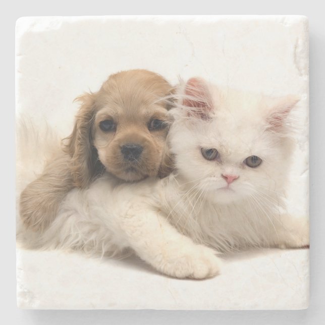 Welpe und Kitten Steinuntersetzer (Vorderseite)