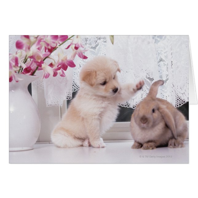 Welpe und Love Ohr Rabbit (Vorderseite (Horizontal))