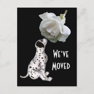 Welpe und Rose Neue Postkarte