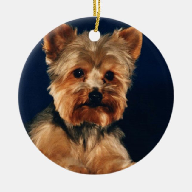 Welpe Yorkshires Terrier Keramik Ornament (Vorne)