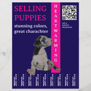 Welpe zu verkaufen flyer