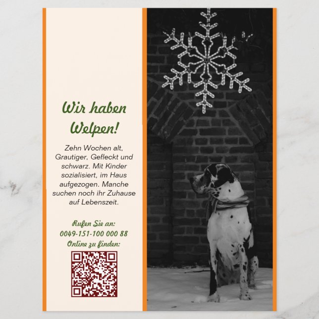 Welpe zum Verkauf Flyer Vorlagen (Vorne)