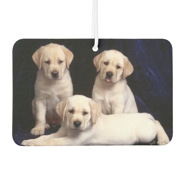 Welpen Air Freshener Autolufterfrischer (Vorderseite)