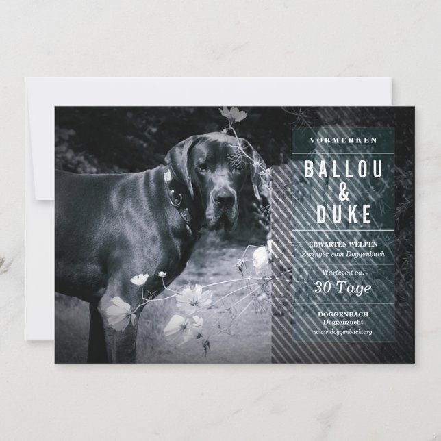 Welpen AnkünFUN (Vorderseite)