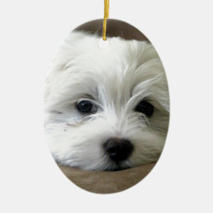 Welpen-Augen Keramikornament