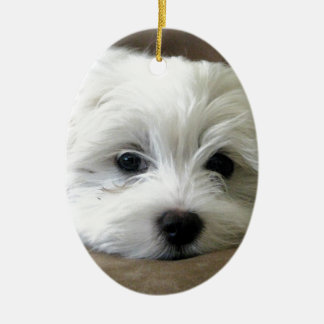 Welpen-Augen Keramikornament