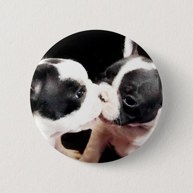 Welpen der französischen Bulldogge Button (Vorderseite)