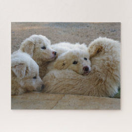 Welpen des Tierschutzes Puzzle
