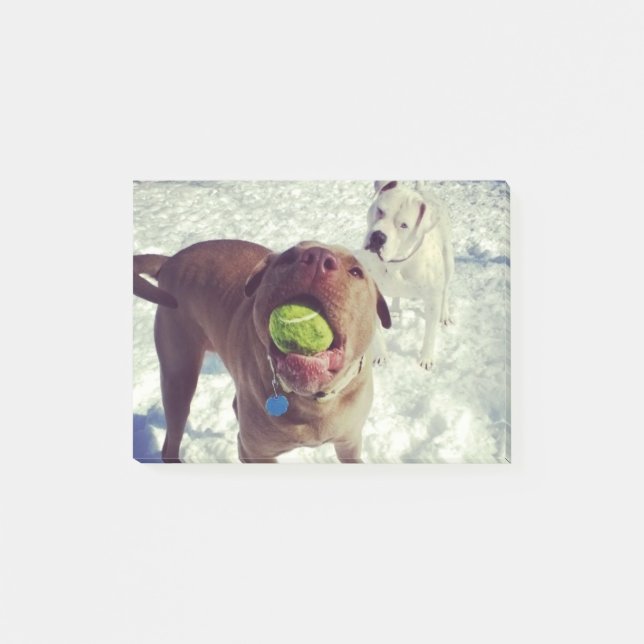 Welpen, die Ball-Notizblock spielen Post-it Klebezettel (Vorderseite)