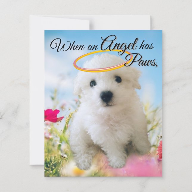 Welpen Engel (Vorderseite)