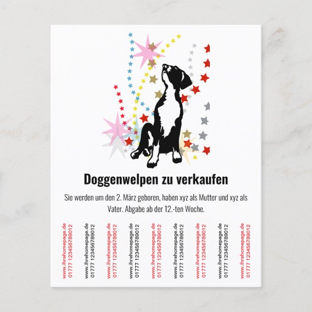 Welpen-Flyer Flyer (Vorne)