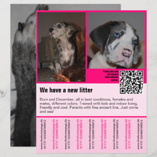 Welpen für den Verkauf Flyer Vorlage QR-Code