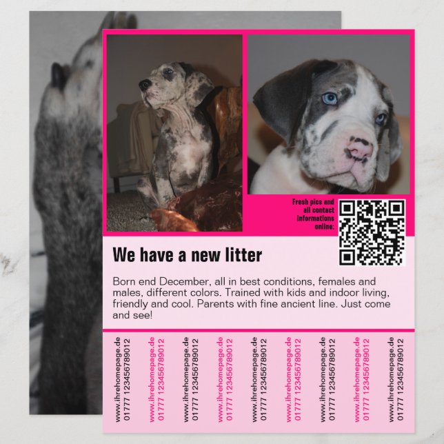 Welpen für den Verkauf Flyer Vorlage QR-Code (Vorne/Hinten)