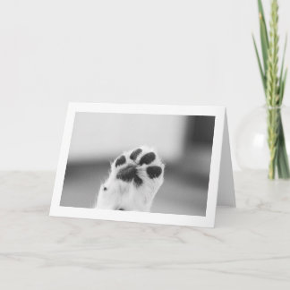 Welpen High Five | Leere Karte
