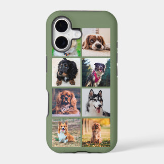 Welpen Hunde Instagram Fotos