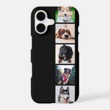 Welpen Hunde Instagram Fotos Apple