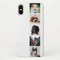 Welpen Hunde Instagram Fotos
