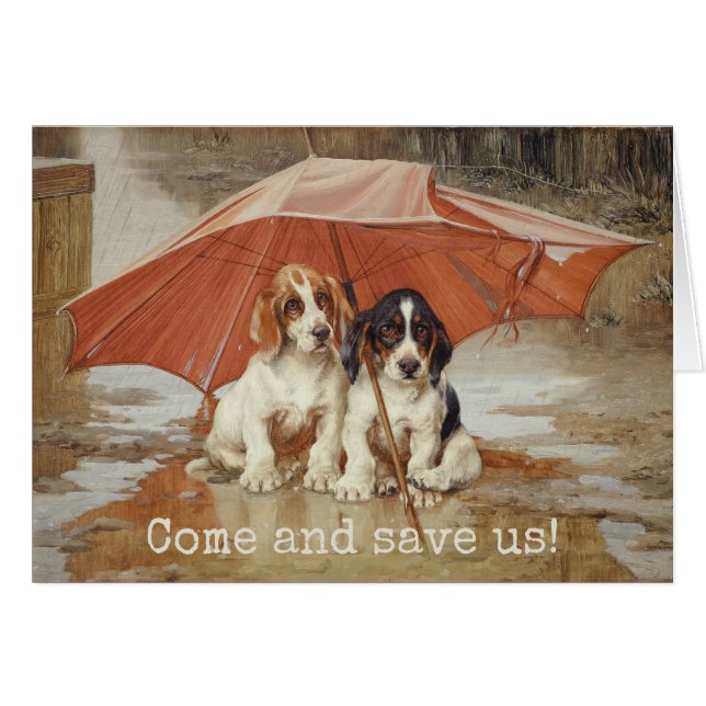 Welpen im Basset unter dem Regenschirm CC0190 Troo (Vorderseite (Horizontal))