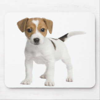 Welpen-Jack Russell Mousepad