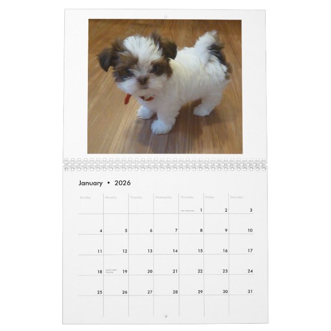 Welpen-Kalender 2013 Shih Tzu Kalender (Jan 2026)
