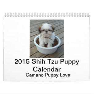 Welpen-Kalender 2015 Shih Tzu Kalender