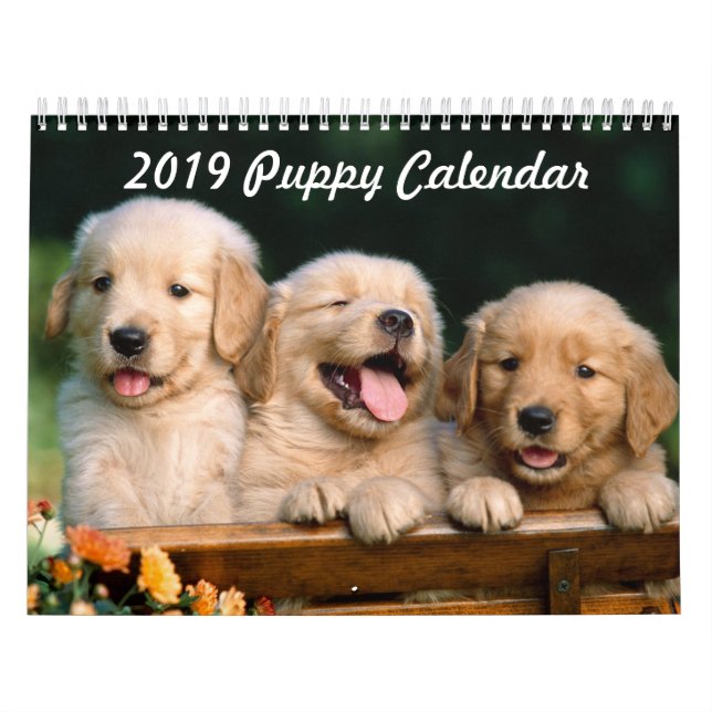 Welpen-Kalender 2019 Kalender (Titelbild)