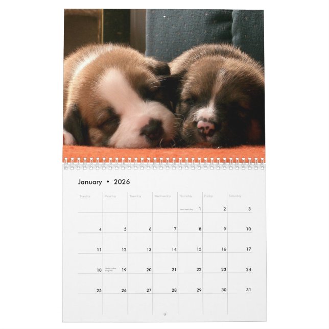 Welpen-Kalender Kalender (Jan 2026)