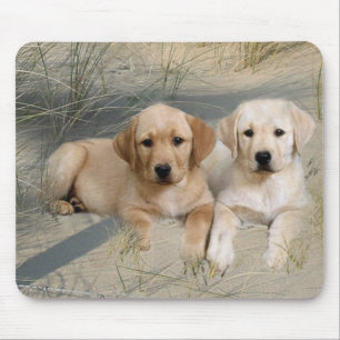 Welpen Labrador retrievers Mousepad