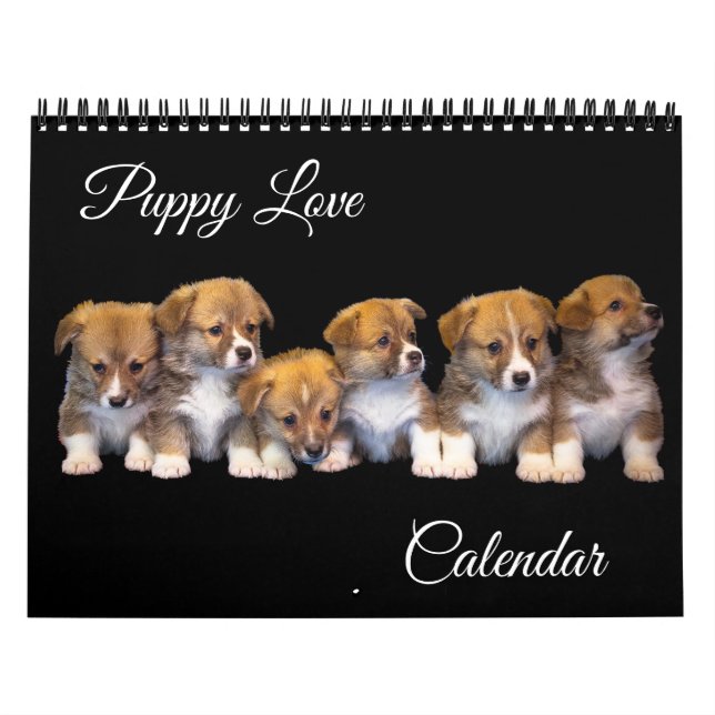 Welpen-Liebe-Kalender Kalender (Titelbild)