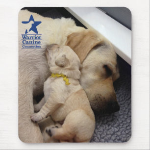 Welpen-Liebe Mousepad
