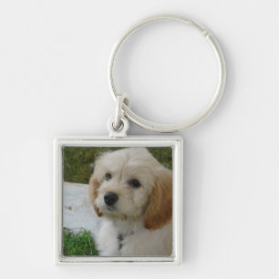Welpen-Liebe - niedliches MaltiPoo HundeFoto Schlüsselanhänger