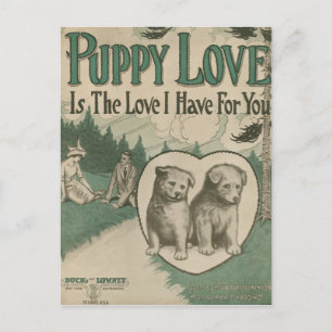 Welpen-Liebe Postkarte