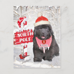 Welpen-Lieben Santa Cards Feiertagspostkarte