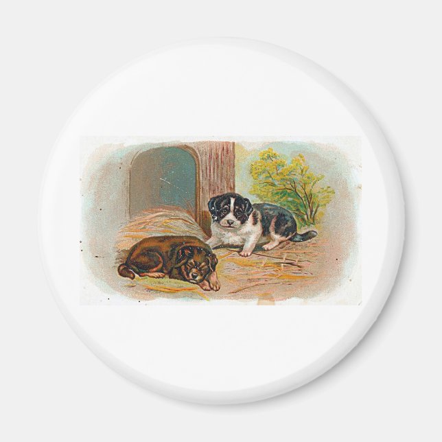 Welpen Magnet (Vorne)