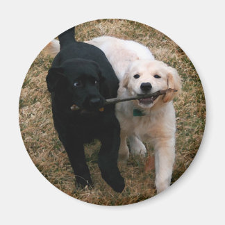 Welpen-Magnet Magnet