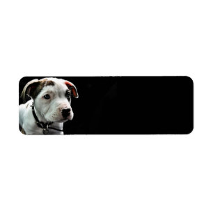 Welpen-Pitbull-förmiger Knochen