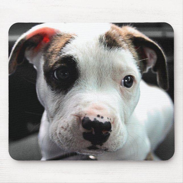 Welpen-Pitbull-förmiger Knochen Mousepad (Vorne)
