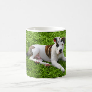 Welpen-Pitbull-förmiger Knochen Tasse
