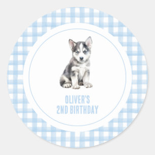 Welpen-Preppy-Karotten-Geburtstag Runder Aufkleber