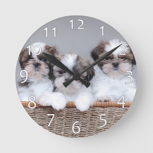 Welpen Shih Tzu Runde Wanduhr (Vorderseite)