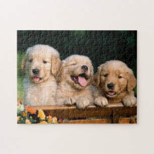 Welpen-Spiel-Puzzle Puzzle