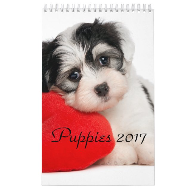 Welpen tragen 2017 ein kalender (Titelbild)