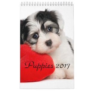 Welpen tragen 2017 ein kalender
