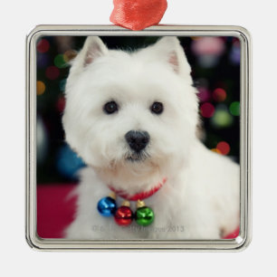 Welpen-tragende Weihnachtsglocke auf Hals Silbernes Ornament