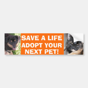 Welpen-u. Kitty-Autoaufkleber Autoaufkleber