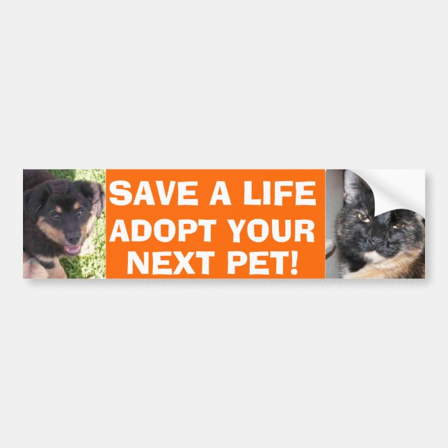 Welpen-u. Kitty-Autoaufkleber Autoaufkleber (Vorne)