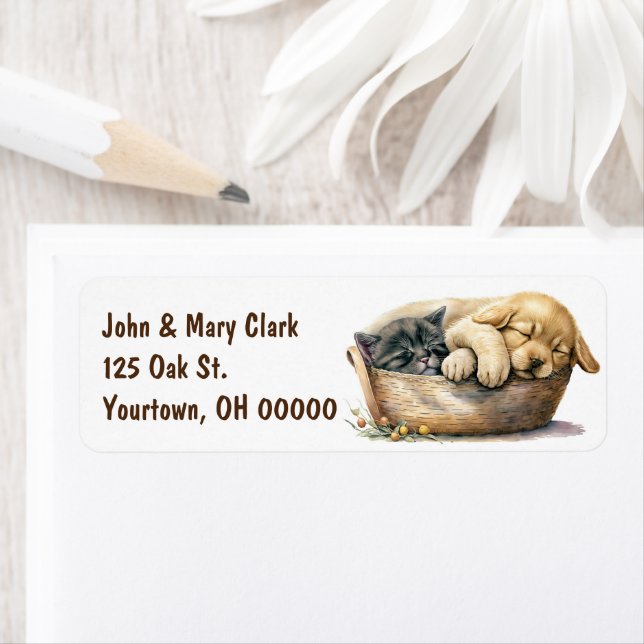 Welpen und Kätzchen im Korb (Insitu)