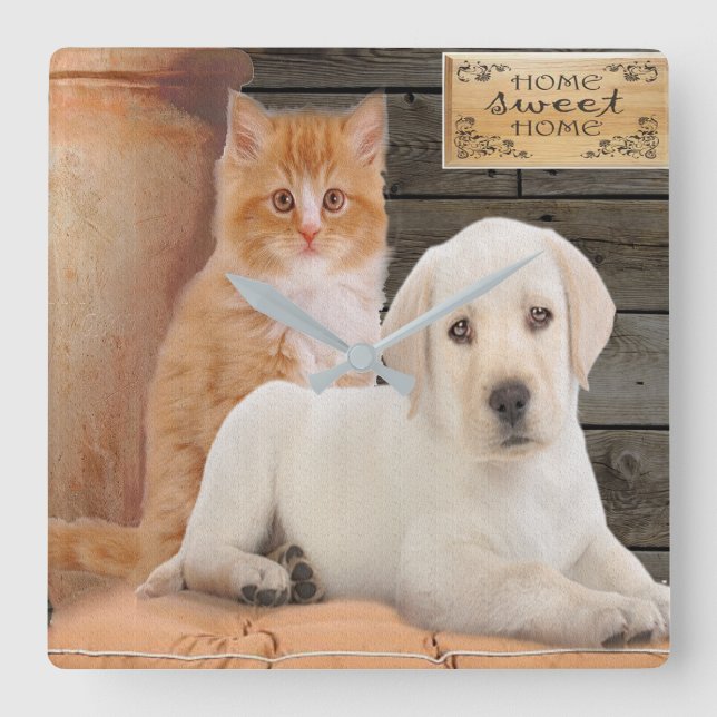   Welpen und Kätzchen Quadratische Wanduhr (Vorderseite)