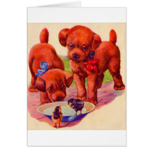 Welpen und Vögel der 30er Jahre